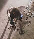 EJF-HH004.jpg