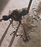 EJF-HH006.jpg