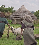 EJF-HH022.jpg