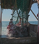 EJF-CODA003.jpg