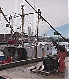 EJF-CODA019.jpg
