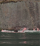 EJF-CODA637.jpg