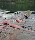 EJF-CODA656.jpg